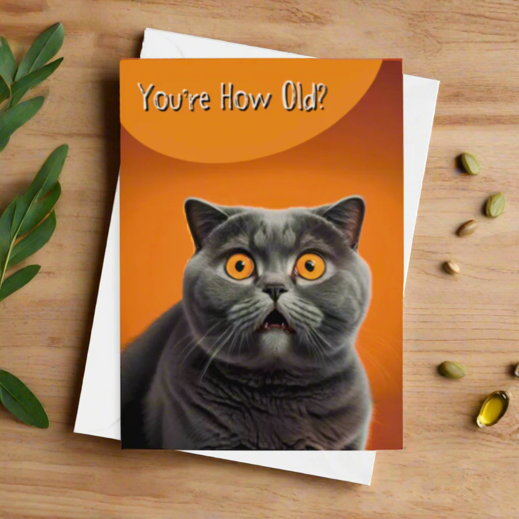 Funny Cat Birthday Greeting Card Cat Lovers Humorous Greetings Cards How Old?