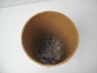 Picture 3 of 6