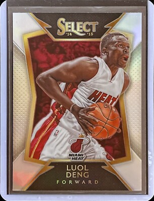 Luol Deng - 2014-15 Panini Select Basketball - Silver Prizm #18