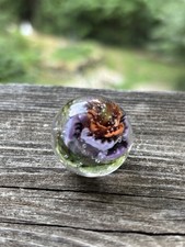 handmade art glass marble  Two Tone  By Sara Sally LaGrand