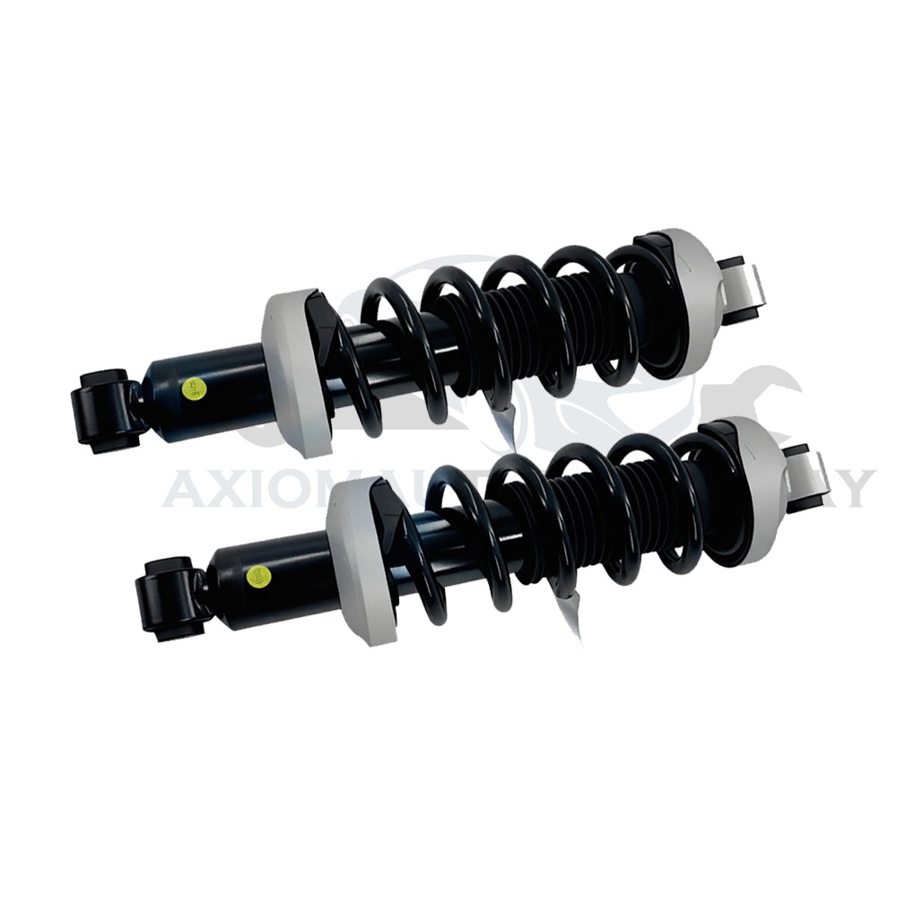2x Rear Shock Struts Assys w/o Electric For 2016-2021 Audi R8 4S3 4SP 4T0512019N