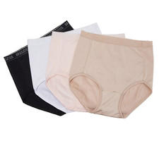 Breezies Set of 4 Nylon Microfiber Briefs Large Basic A287799 13226