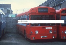 London Transport Bus Photograph SMS 557 EGN 557J Ulsterbus Northern Ireland 1357