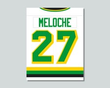 compare to GILLES MELOCHE Minnesota North Stars Hockey Photo 8x10 11x14 16x20 JZ