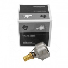 Thermostat Renault R19