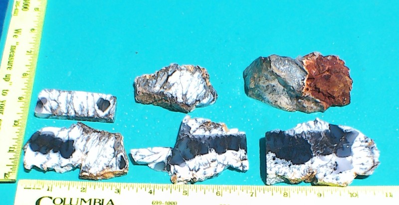 Beautiful Australian Dendritic Opal - 4-slabs, 2-end pieces - 1 lb.