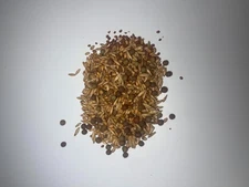 5 lbs. Frostline Feast Seed Mix Wheat, Oats, Winter Peas, Forage Radish