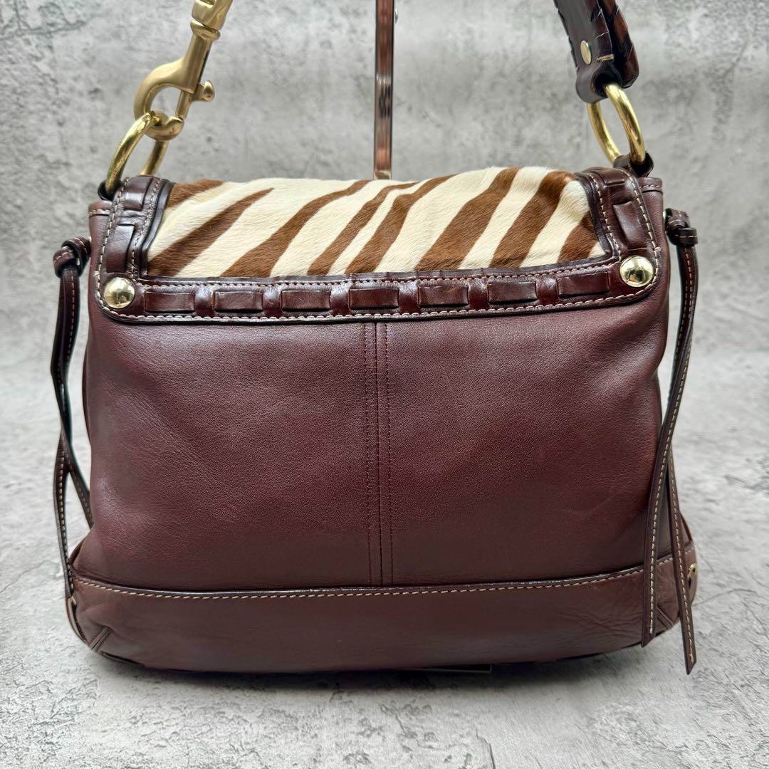 PONY RARO articolo COACH 10366 Y2K Legacy borsa a tracolla capelli di vitello a righe zebrate Giappone
