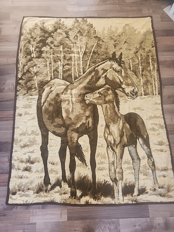 Vintage Cannon Ibena HORSE/FOAL Blanket Dolan Acrylic Western Country  76" X 57"