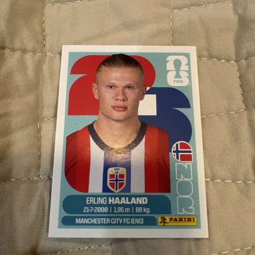 Panini FIFA Soccer Erling Haaland Rookie Manchester City FC RO12 Trading Card