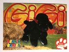Bild 53 von 92