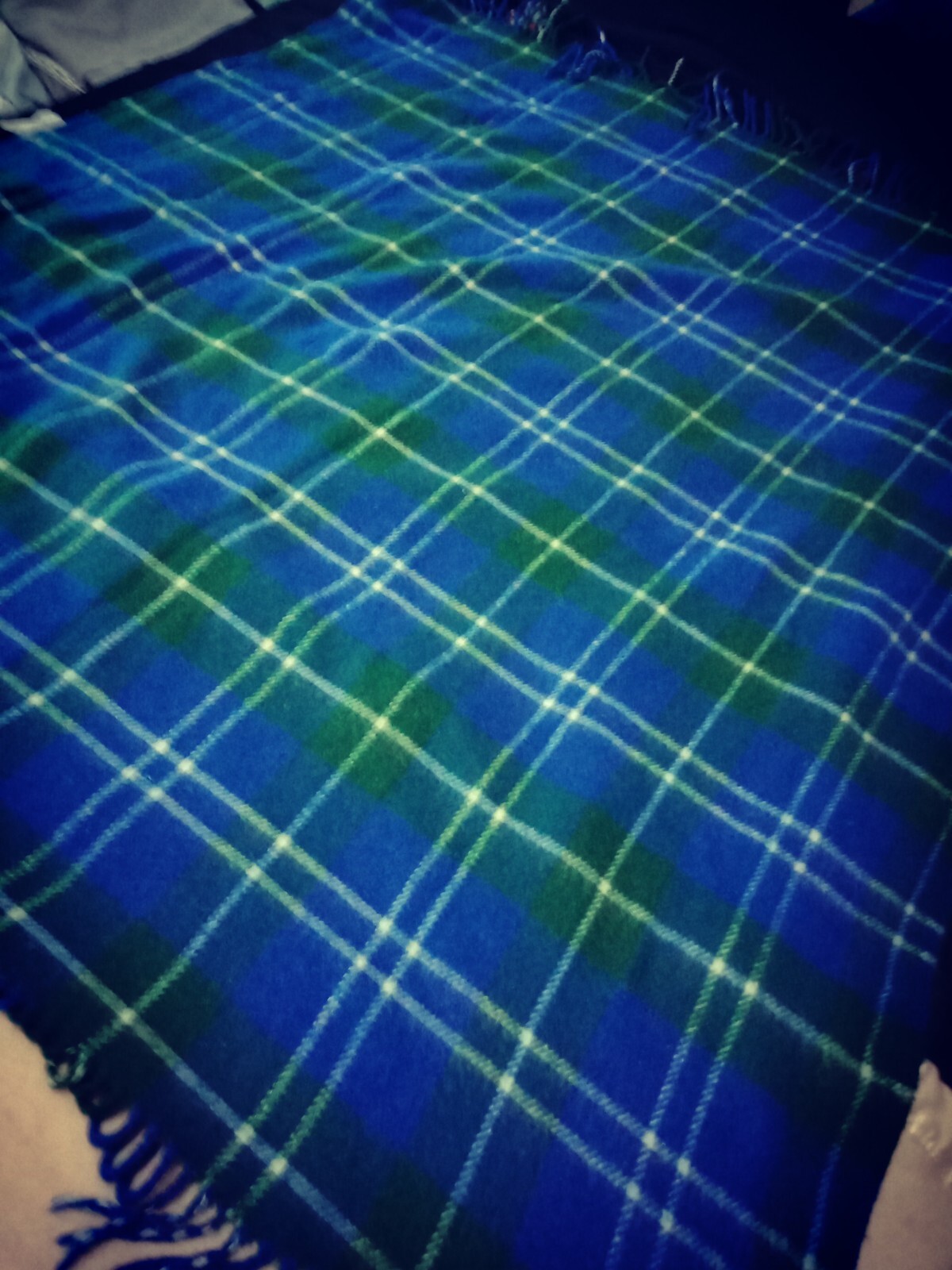 Vintage Laconia Travelite Rug Blanket Panic Blue Wool Blend eBay