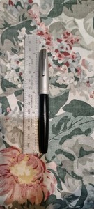 Waterman's Fountain Pen, 14K Gold Medium Flexible Nib