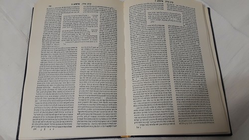 1970 Korban Aharon 1608-1609 Facsimile First Edition Venice Ibn Hayyim קרבן אהרן - Imagen 6 de 12
