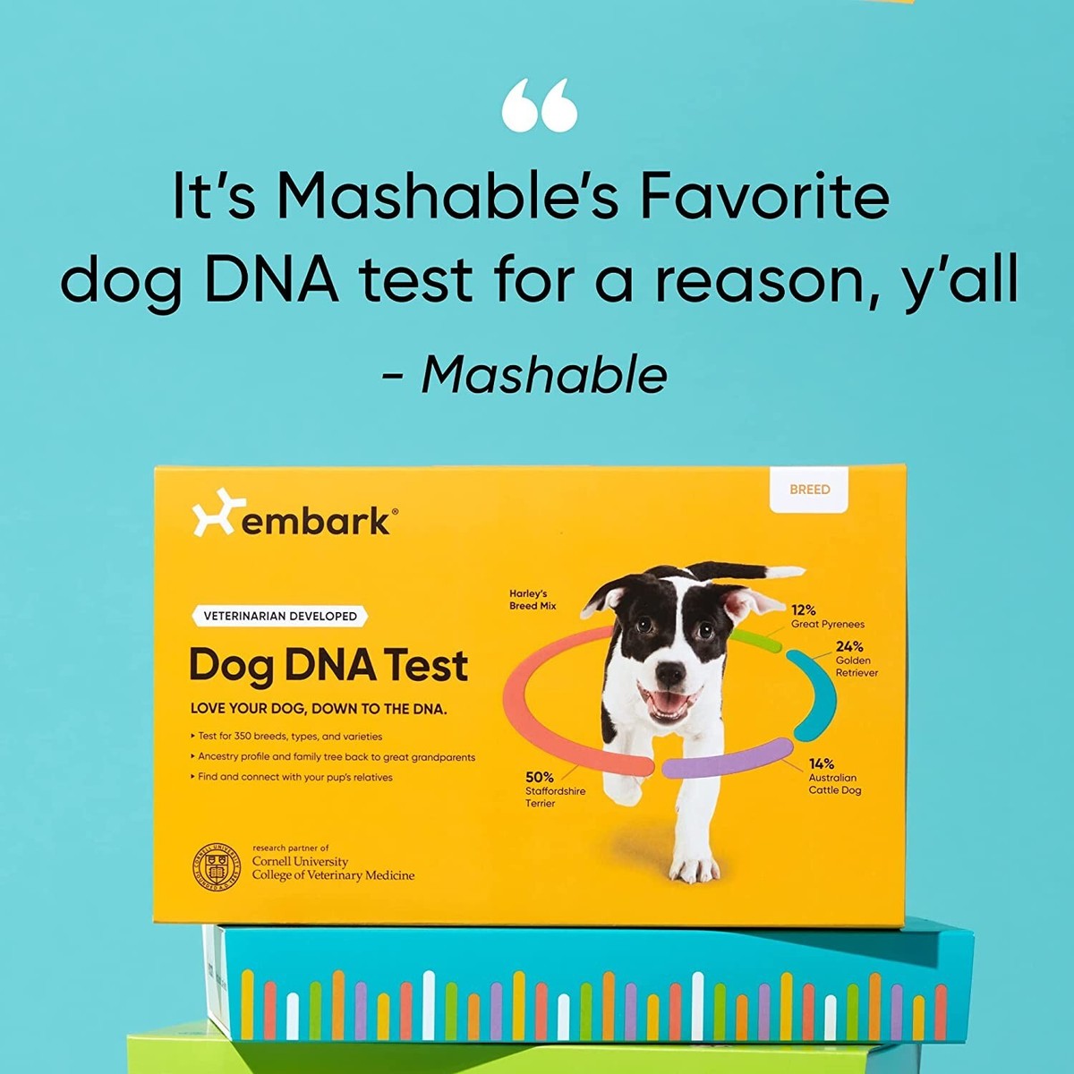 Embark Dog Dna Embark Purebred Dog DNA Test Kit Breed Genetic Ancestry