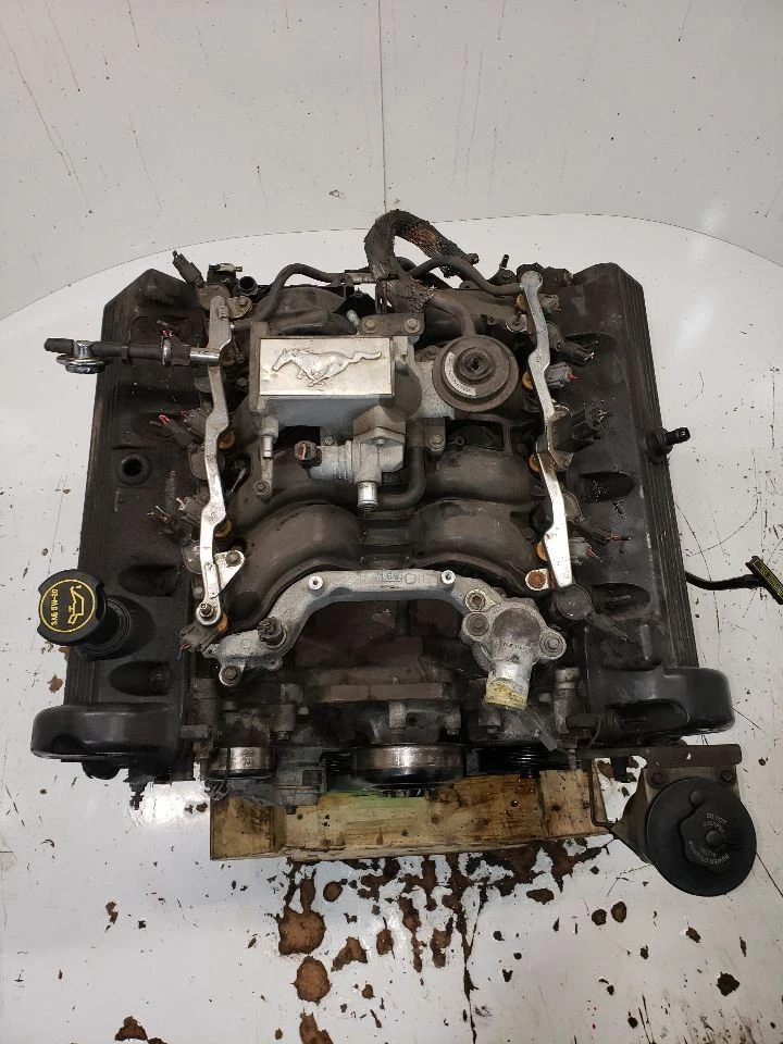 Engine 4.6L VIN X 8th Digit SOHC GT Fits 01-04 MUSTANG 1432633 - Image 2 of 4