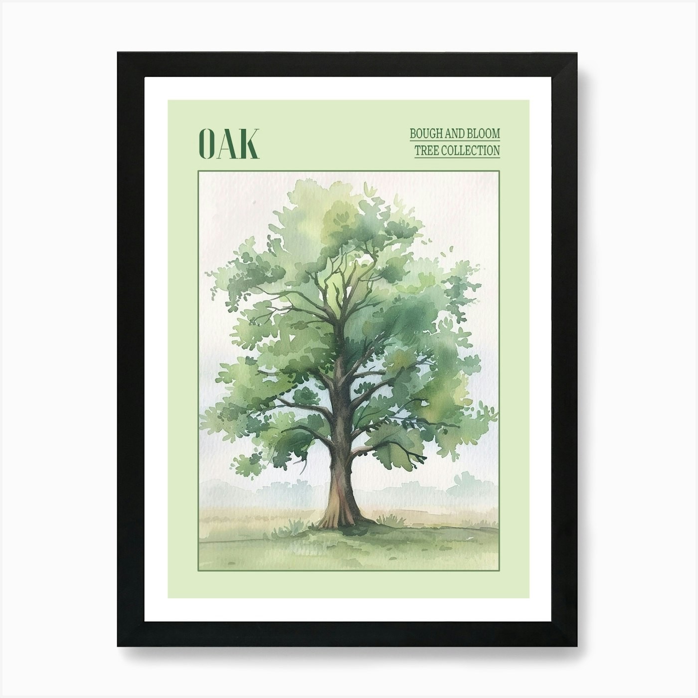 Oak Tree Watercolor Art Framed Canvas Print Wall Decor