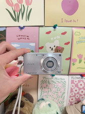 Sony Cyber-shot DSC-W350 Digital Camera 14.1MP 4x Optical Zoom with Accessories