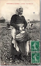 45 PITHIVIERS - saffron harvest, a saffron maker.