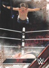 2016 Topps WWE Bronze Parallel Wrestling Cards Pick from List