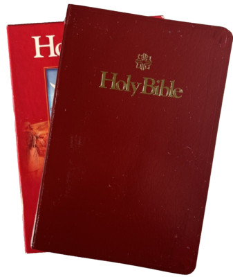 ICB International Childrens Bible Burgundy Leatherflex USA Print Clean ...