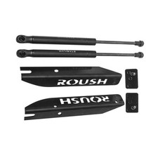 Roush 421236 Gas Charged Stainless Steel Hood Struts For 05-14 Ford Mustang V6 Roush 421236 Gas Charged Stainless Steel Hood Struts For 05-14 Ford Mustang V6