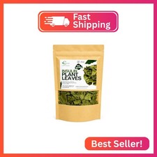 Dried Insulin Plant Leaves 1 OZ Natural Loose Leaf Tea Costus Igneus Sugar-Free
