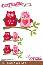 Fustelle Big Shot Sizzix Cottage Cutz 4x6 Hoot loves you