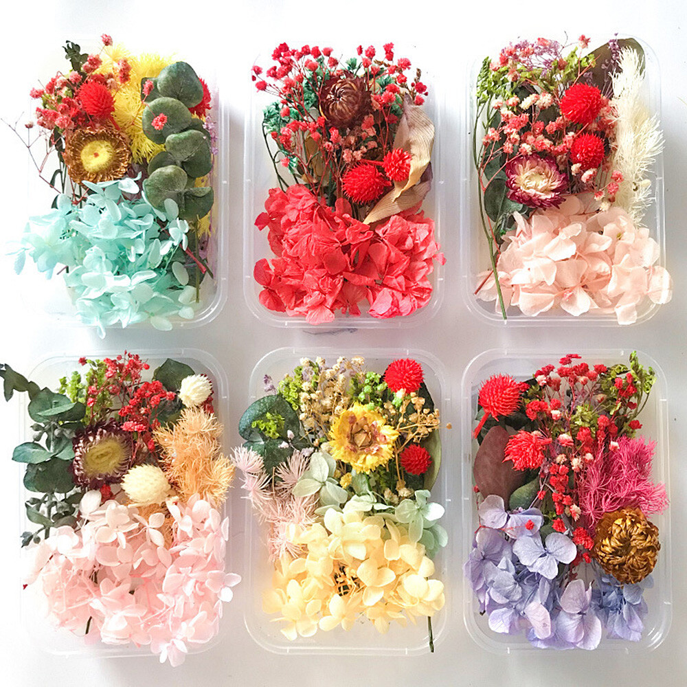 Mixed Dry Flower Box For Resin Art, Candle Making & Décor | Kart - Foto 9