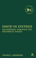 Vivian L. Johnson | David In Distress | Buch | Englisch (2009) | Gebunden