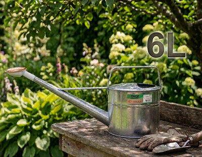 Onoe Gardening Watering Can 6L Fine And Soft Watering Made in japan