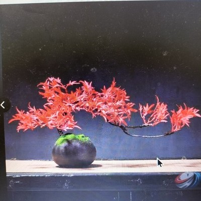 Autumn leaves in Kyoto  We made it as close to the real thing as possibl