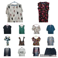 Women's Plus Size 2XL 1XL SHEIN Curve Blouses, Dress, Tops & Shirts Emery Rose