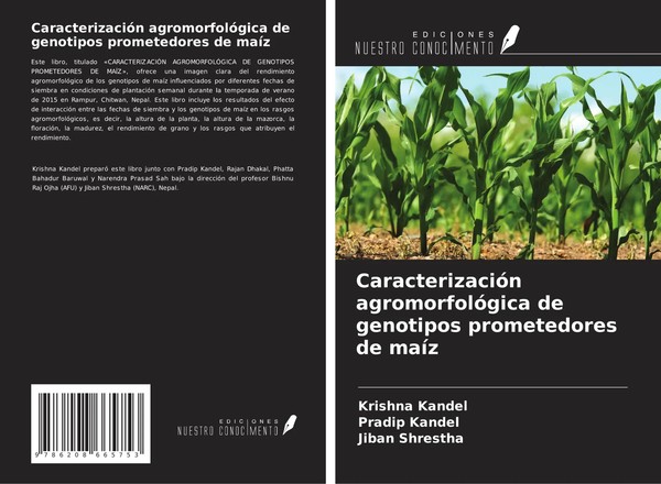 CaracterizacióN AgromorfolóGica De Genotipos Prometedores De MaíZ Kandel (U. A.)-image