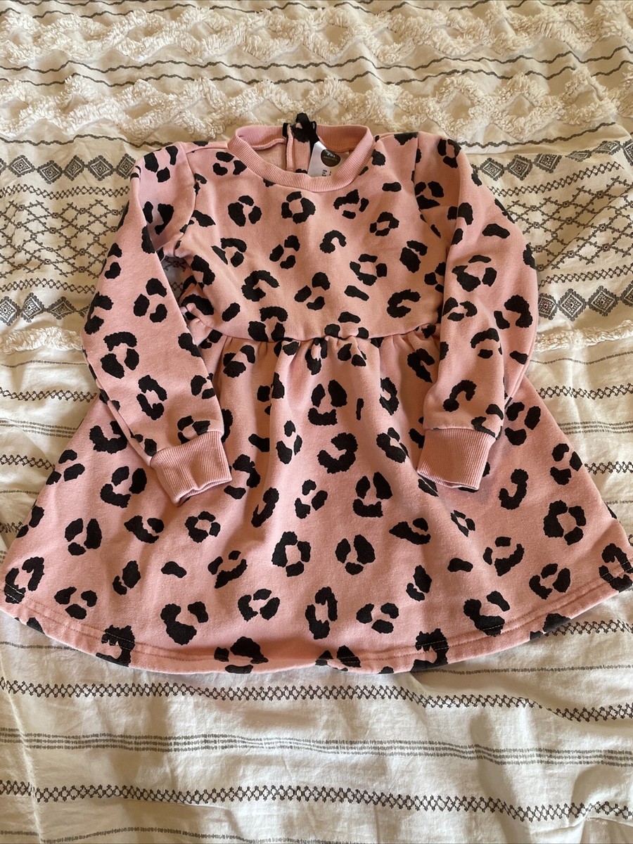 Nordstrom rack Leopard Print Long Sleeve Fit Flare Fleece Pink