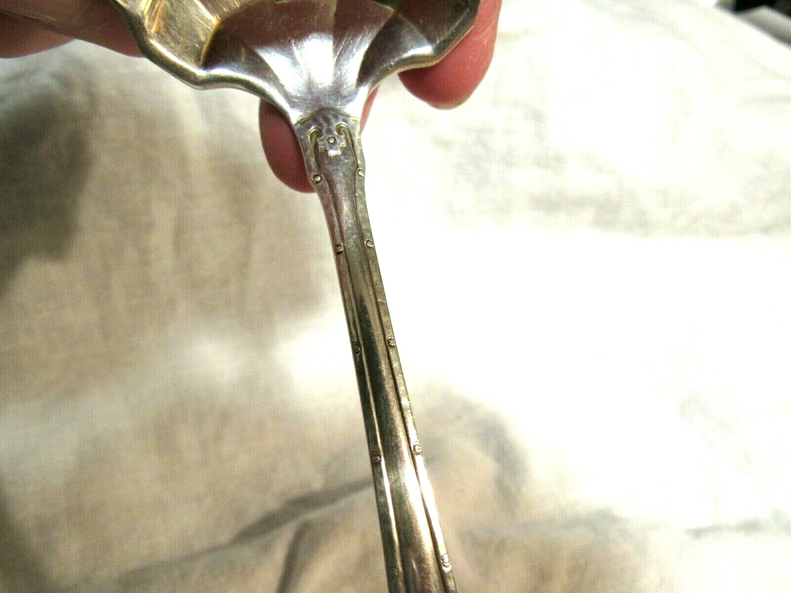 Picture 8 of 8