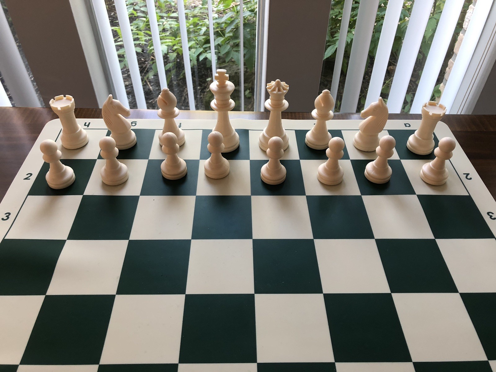 European Chess Set. 32 Cream & Black Chessmen W/ Green Silicone Board ...