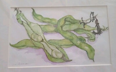 Gekonnt bemalt Vintage signiertes Sue Rosoman Broad Beans Botanical Aquarell.