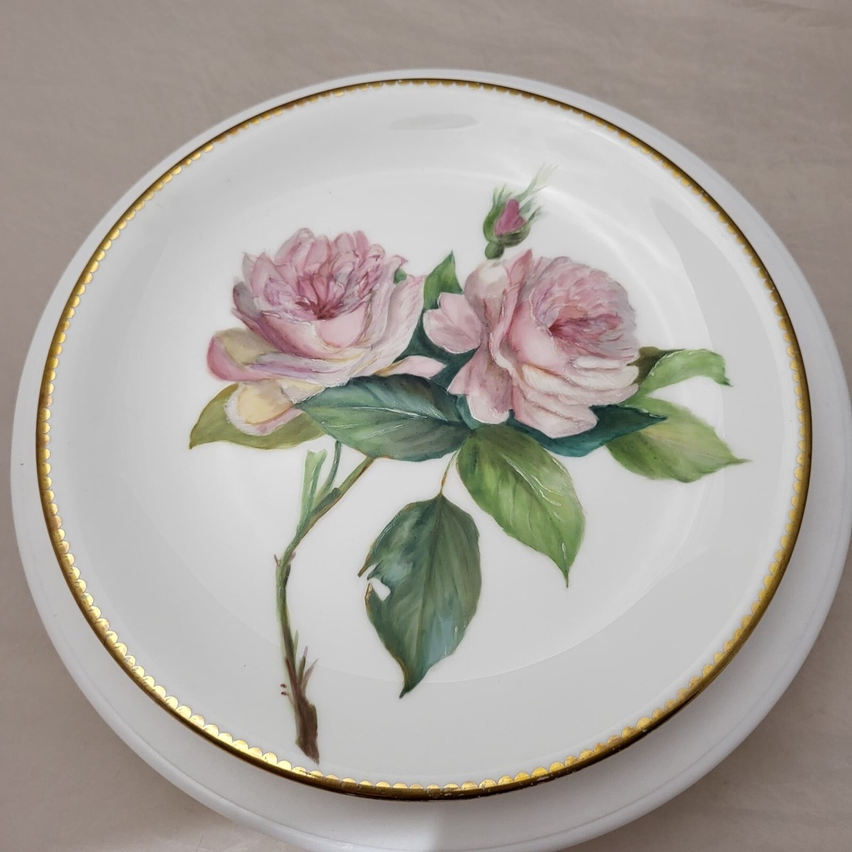 1880's Antique Minton Porcelain Cabinet Plate 9