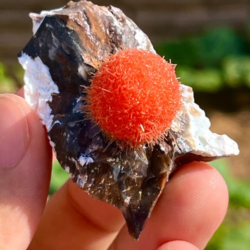 30G Indian dandelion zeolite Quartz Crystal Cluster Mineral Specimen - Picture 2 of 12