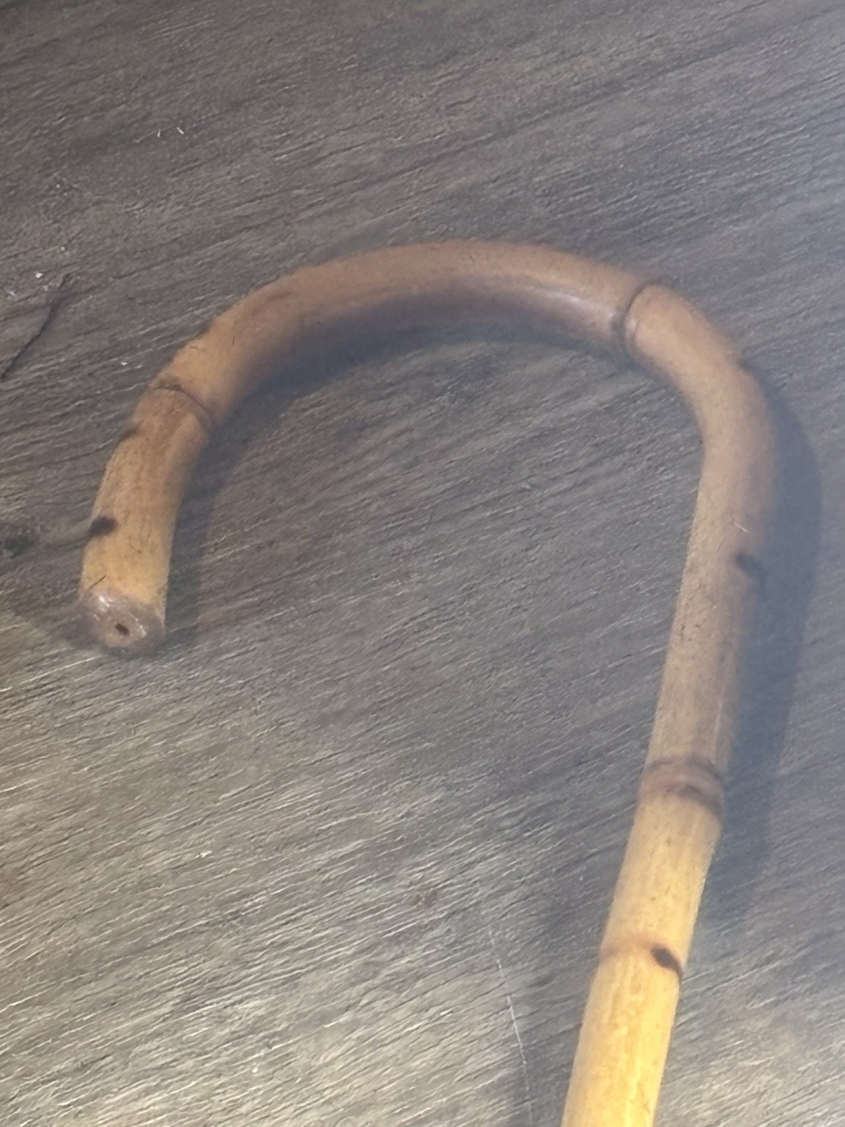 Picture 9 of 24