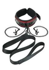 WhipSmart Heartbreakers Deluxe Collar, Nipple Clips, Leash