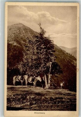 39971213 - 8185 Kreuth donkey in front of the Hirschberg photographer Otto Rupflin