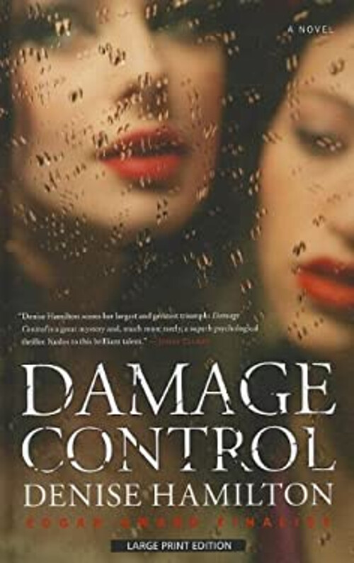 Damage Control Hardcover Denise Hamilton
