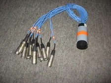 CPC  12 way  "FAN -" OUT " 12 line breakout for custom snake system 3' long