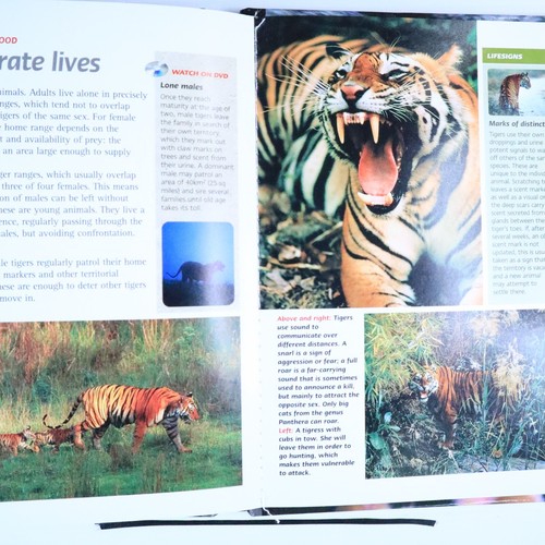 Swamp Tigers: Natural Killers Predators Close-Up (Hardcover Book & DVD Video) - Picture 8 of 12