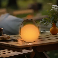 LED Table Lamp Sphere Dimmable w/ Handle Remote Control USB Battery Powered