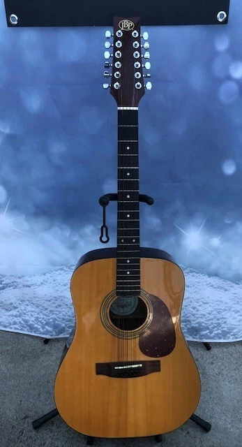 Ebay 12 on sale string guitar