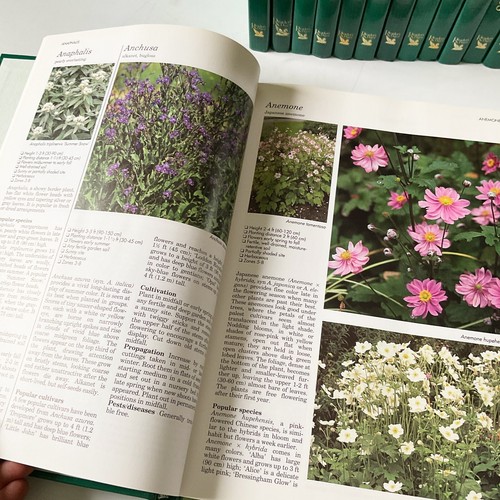 Reader's Digest Successful Gardening Set of 14 Shrubs Flowers Water Plants - Imagen 5 de 12