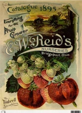 1895 Trimbell Strawberry | Rice Paper A4 | Calambour | Paper for Decoupage